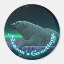 Zoek naar beren magneten Alaska