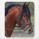 Recherche de cheval espagnol tapis souris Équestre