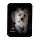 Recherche de cairn terrier maison deco Amoureux des chiens
