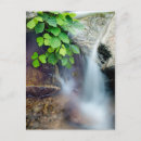 Recherche de guérison cartes postales Nature