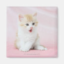 Zoek naar roze achtergrond magneten Schattig