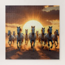 Recherche de cheval blanc puzzles Chevaux au galop