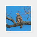 Recherche de aigle chauve serviettes Faune