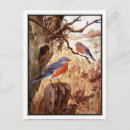 Recherche de faune américaine cartes postales Botanique