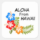 Recherche de hawaï autocollants fleurs