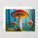 Zoek naar mushroom briefkaarten Kleurrijk