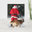 Zoek naar heilige bernard kaarten Kerstmis