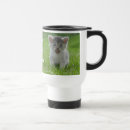 Recherche de chat féroce tasses Chaton