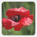 Recherche de pétales rouges autocollants Jardin