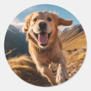 Recherche de chien courant autocollants Dog