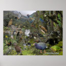 Recherche de kiwi oiseau art Aotearoa