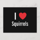 Recherche de squirrel cartes postales Humor