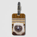 Recherche de madagascar Lemur