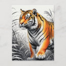 Recherche de tigre blanc cartes postales Animal sauvage