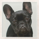 Zoek naar bulldog onderzetters Puppy