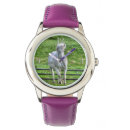 Recherche de photo de cheval montres Pour enfants