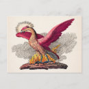 Recherche de phenix cartes postales Rétro