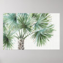 Recherche de paumes posters Aquarelles