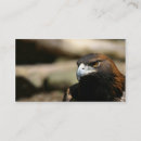 Zoek naar eagle visitekaartjes Vrij