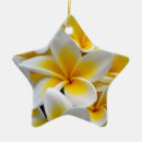 Recherche de plumeria ornements Île