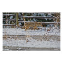 Recherche de chasse neige posters Faune