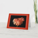 Recherche de gerber vœux cartes Rouge