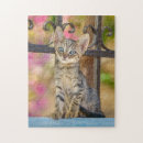 Recherche de yeux puzzles Tabby