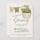 Recherche de succulent kawaii Plante