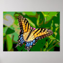 Recherche de monarch butterfly posters Nature