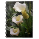 Recherche de calla lily carnets Lièvre