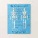 Zoek naar skelet puzzels Anatomie