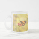 Recherche de zinnias tasses Orange