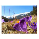 Recherche de macro de fleur art Printemps