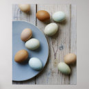 Recherche de food nutrition posters Foodie