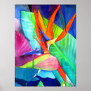 Recherche de bird of paradise posters Floral