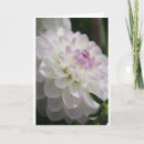 Zoek naar dahlia kaarten Bloem