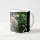 Recherche de monkey tasses Zoo