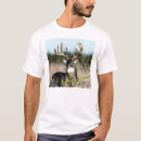 Recherche de whitetail tshirts Chasse