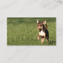 Recherche de affaires de chien cartes visite Amoureux des chiens