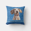 Zoek naar leuke hond kussens For her
