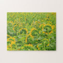 Recherche de moses puzzles Westmorland