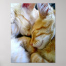 Recherche de caresse art Minou