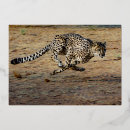 Zoek naar brown uitnodigingen Goud