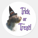 Recherche de poil autocollants Animaux