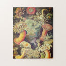 Recherche de algues puzzles Méduse