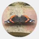 Zoek naar admiraal stickers Rood