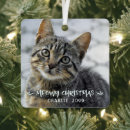 Recherche de cats ornements Meowy christmas
