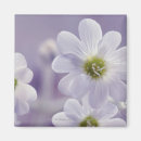Recherche de plan rapproché de fleur Horizontal