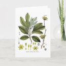 Recherche de épice vœux cartes Floral