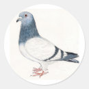 Recherche de mouche autocollants Dessin